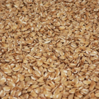 มอลต์ Castle Malting® Flaked Barley.