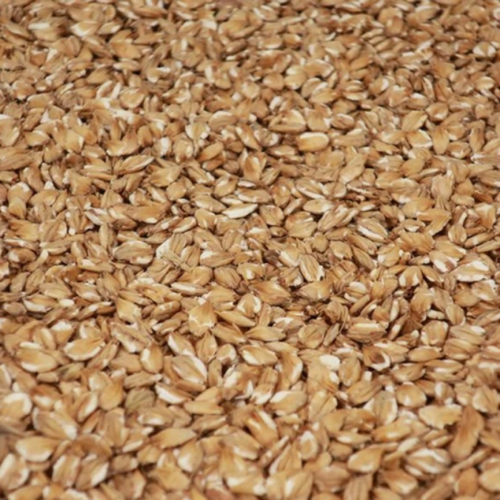 มอลต์ Castle Malting® Flaked Barley.