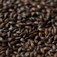 มอลต์ Gladfield Malt – Dark Chocolate Malt.