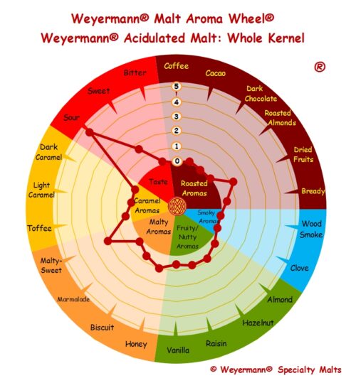 Acidulated Malt®_Whole Kernel