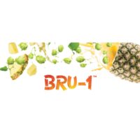 BRU-1™ pellets